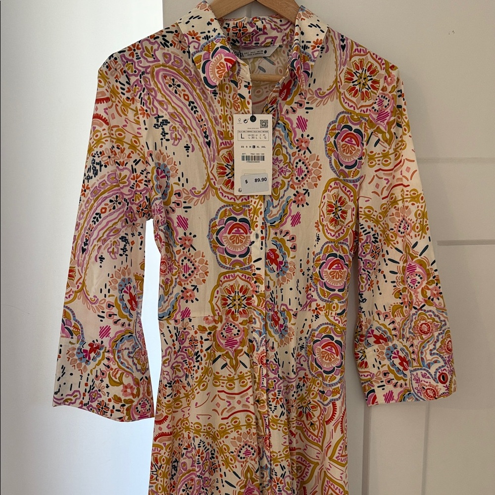 Zara Multicolor Paisley Midi Dress